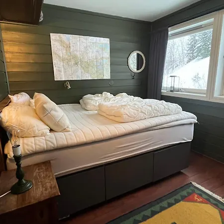 Storehorn Daire Hemsedal