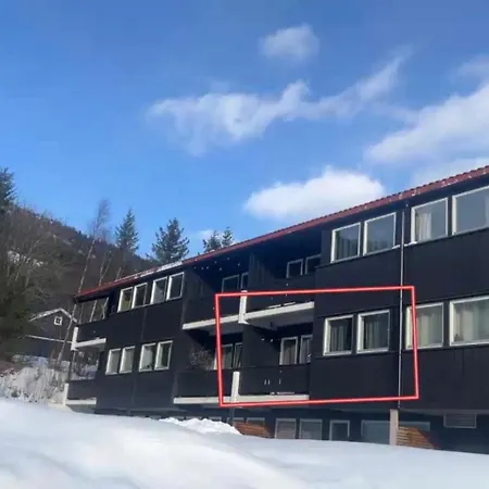 Storehorn Leilighet *